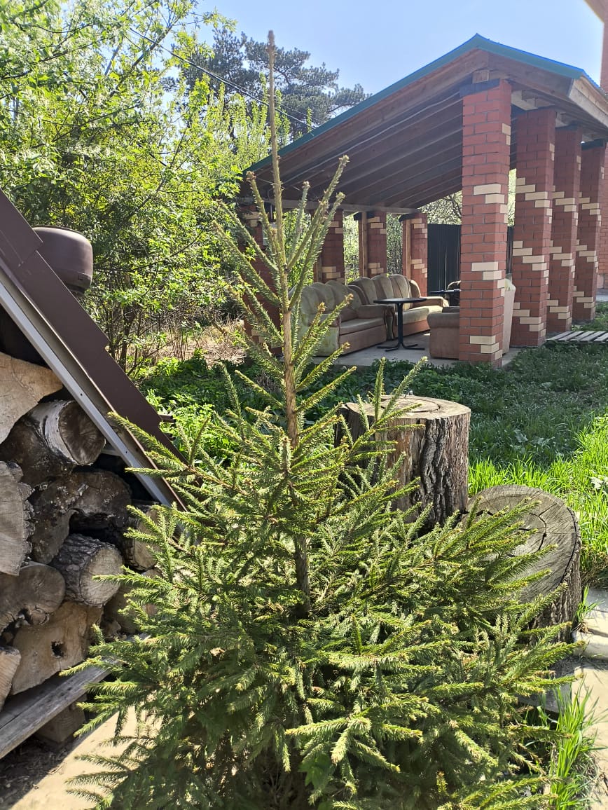 Гостевой Дом "Дистанция"